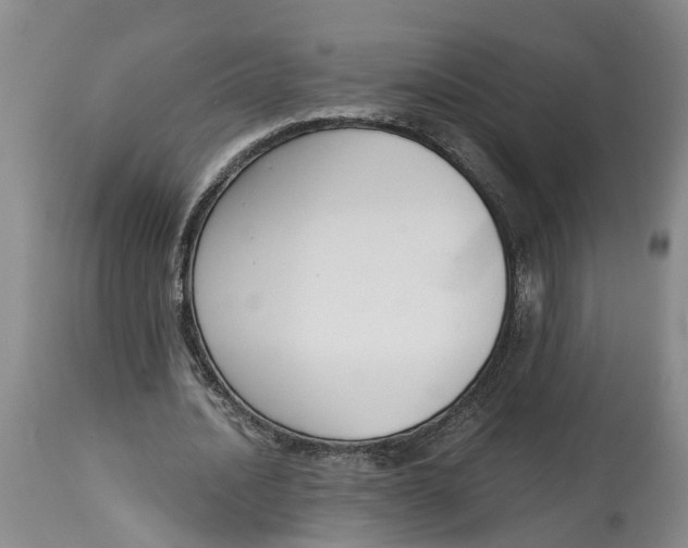 X0000115000628200911161538