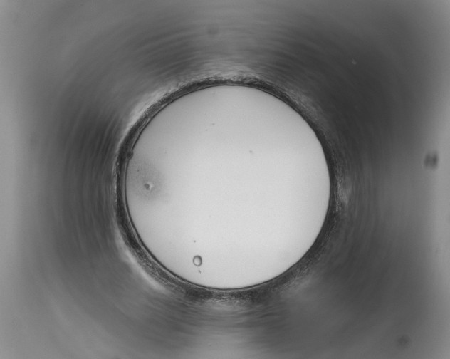 X0000115000630200911161538