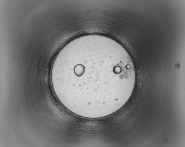 X0000115000631200911161538