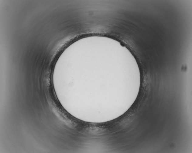 X0000115000632200911161538