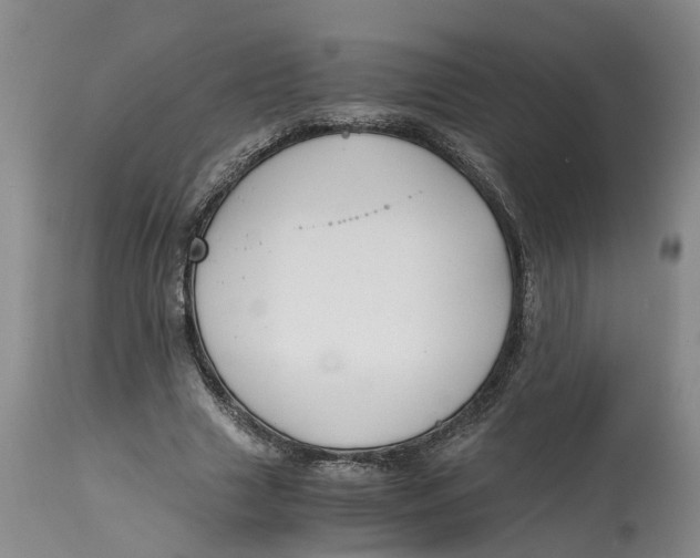 X0000115000633200911161538