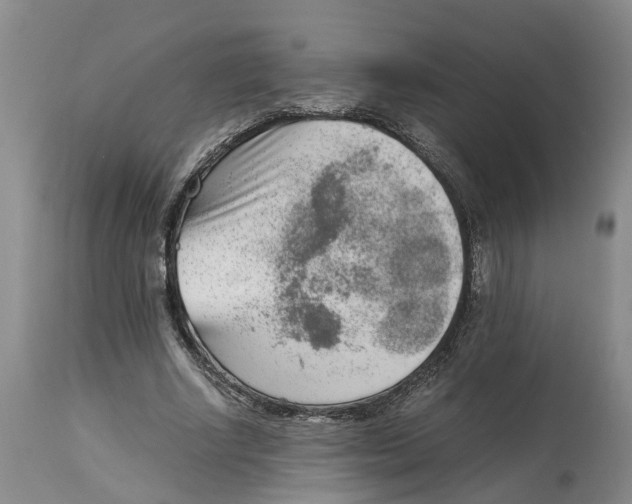 X0000115000634200911161538