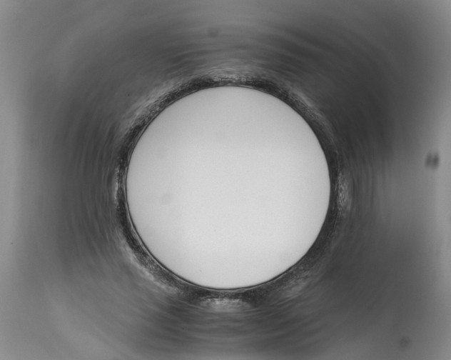 X0000115000637200911161538