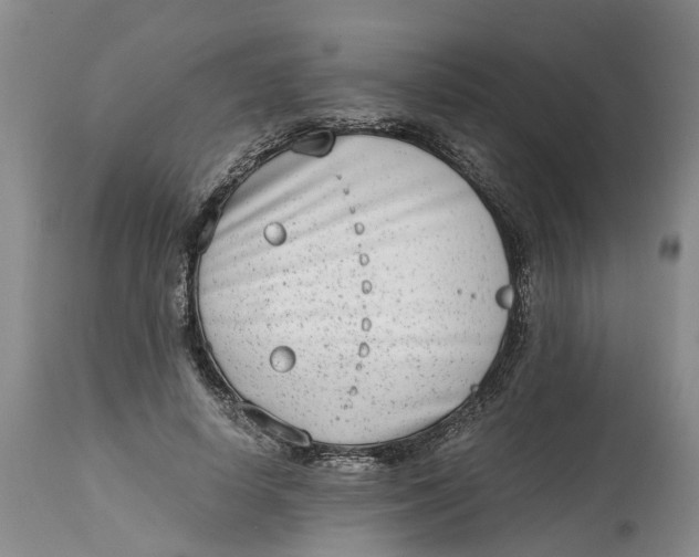 X0000115000642200911161538