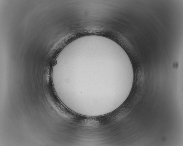 X0000115000644200911161538