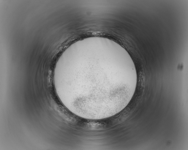 X0000115000650200911161538