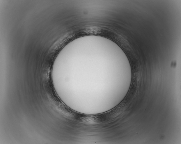 X0000115000652200911161538