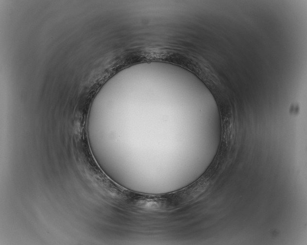 X0000115000655200911161538