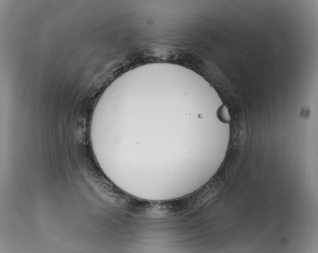 X0000115000656200911161538