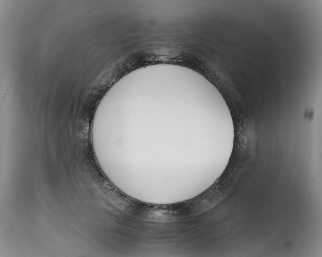 X0000115000657200911161538