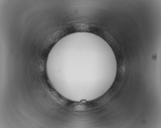 X0000115000658200911161538