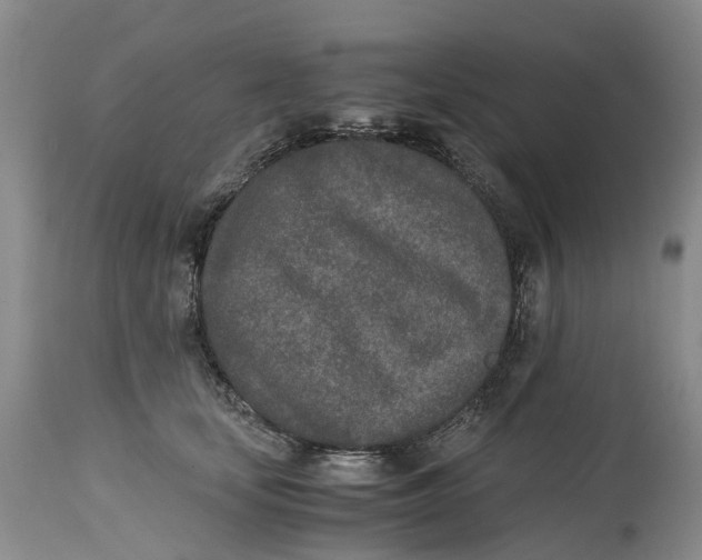 X0000115000659200911161538