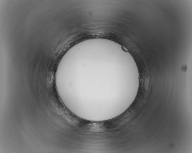 X0000115000660200911161538