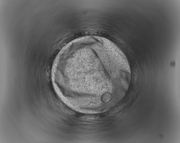 X0000115000661200911161538