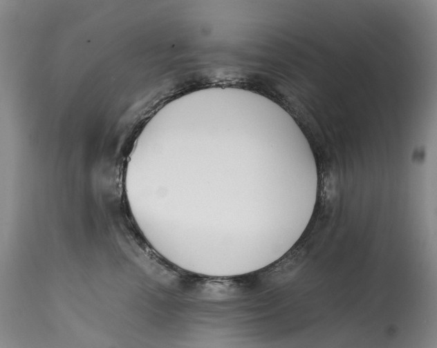 X0000115000666200911161538