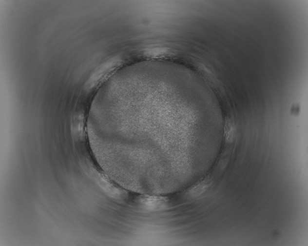 X0000115000670200911161538