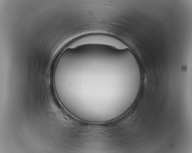 X0000115000676200911161537