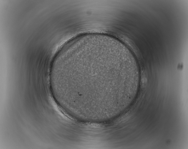 X0000115000677200911161537