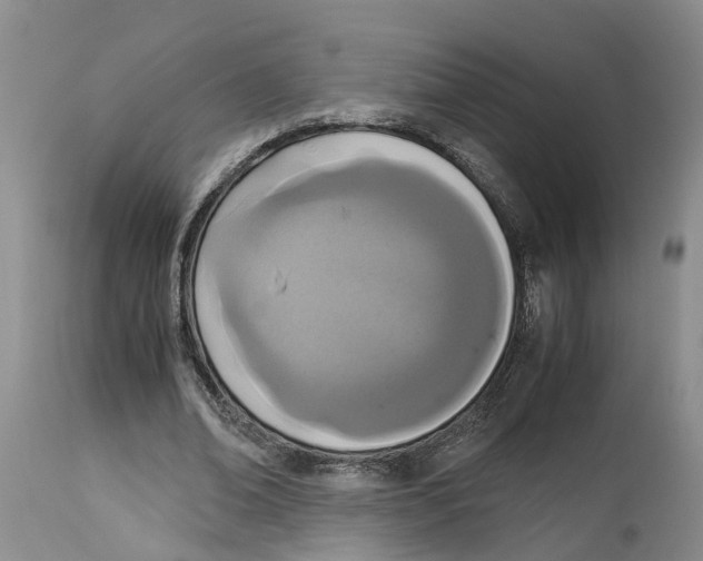 X0000115000678200911161537