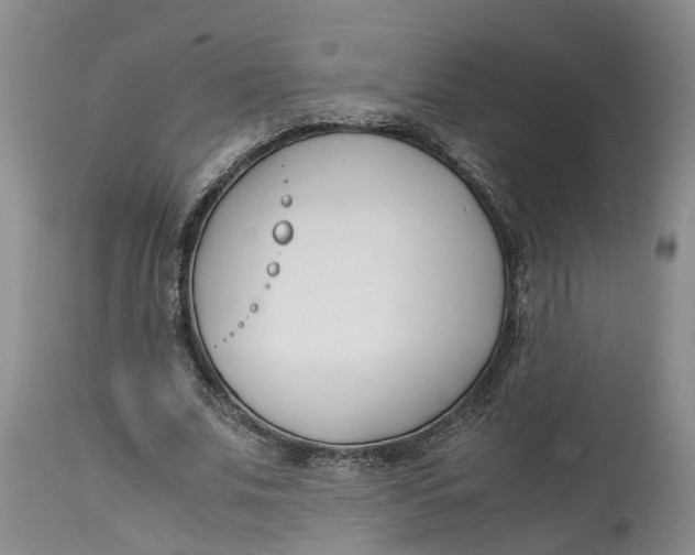 X0000115000679200911161537