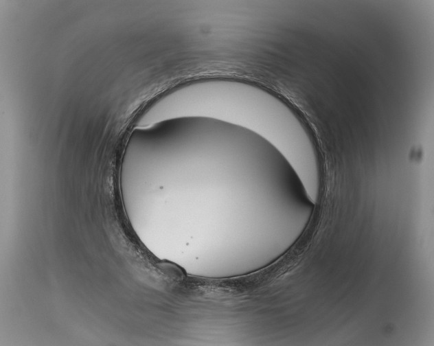 X0000115000681200911161537