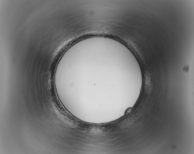 X0000115000684200911161537