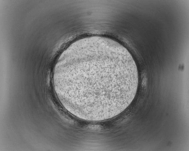 X0000115000685200911161537