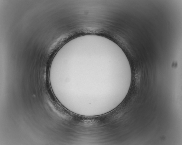 X0000115000686200911161537