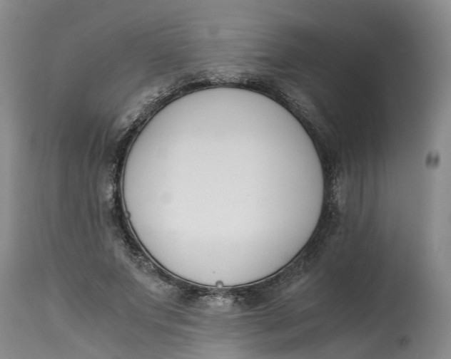 X0000115000687200911161537