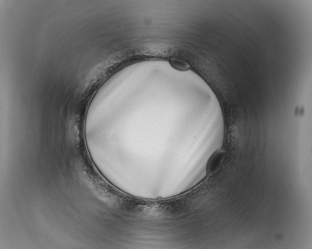 X0000115000688200911161537