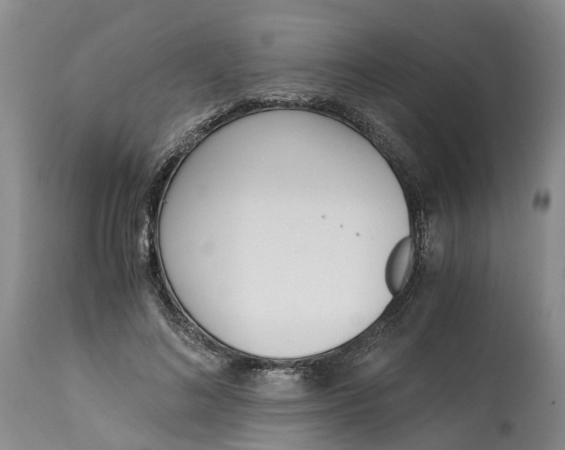 X0000115000692200911161537