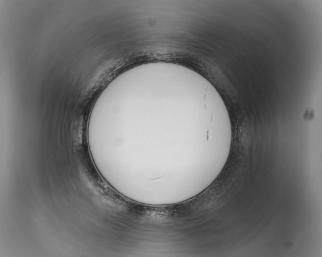 X0000115000694200911161537