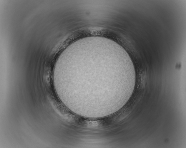 X0000115000698200911161537