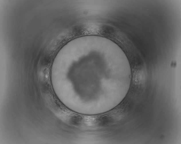 X0000115000701200911161537