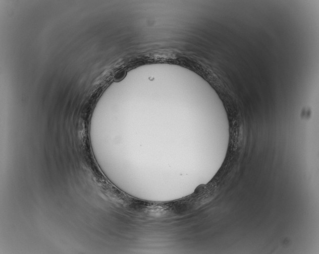 X0000115000704200911161537