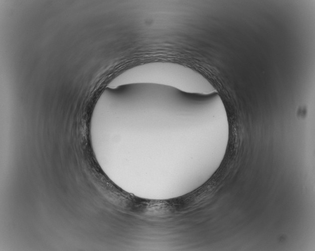 X0000115000705200911161537