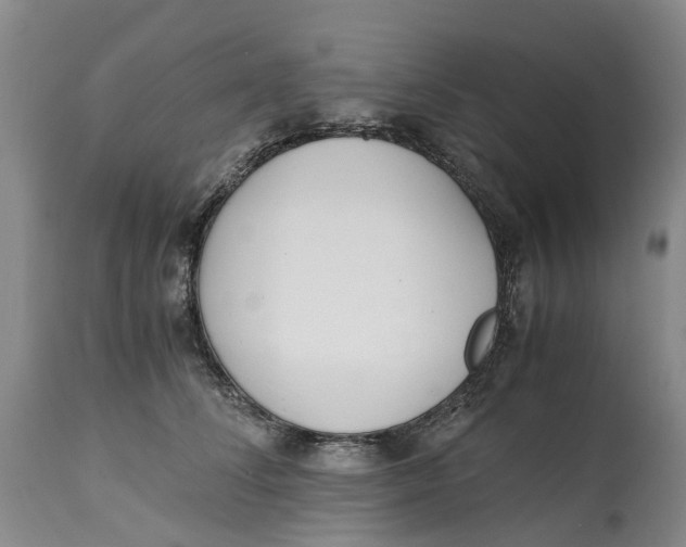 X0000115000708200911161537