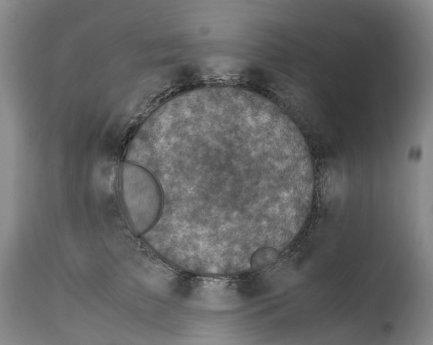 X0000115000709200911161537