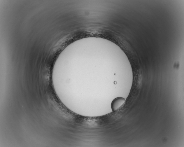 X0000115000710200911161537