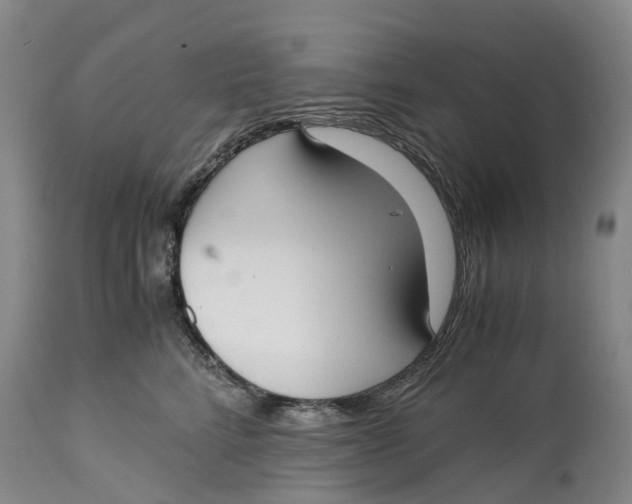 X0000115000712200911161537