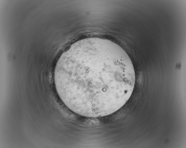 X0000115000715200911161537