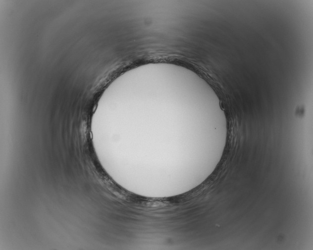 X0000115000716200911161537