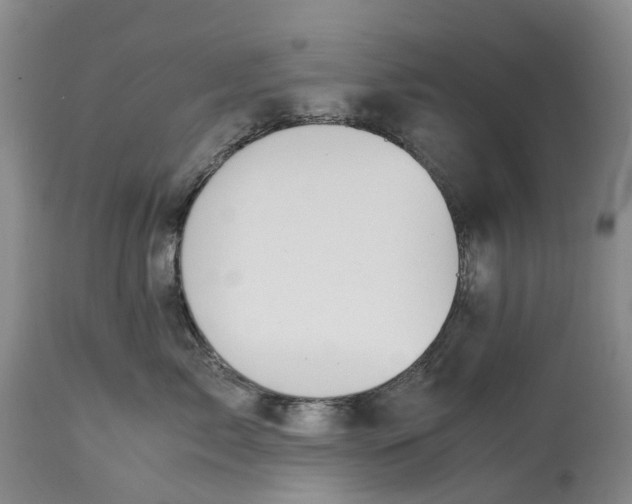 X0000115000717200911161537