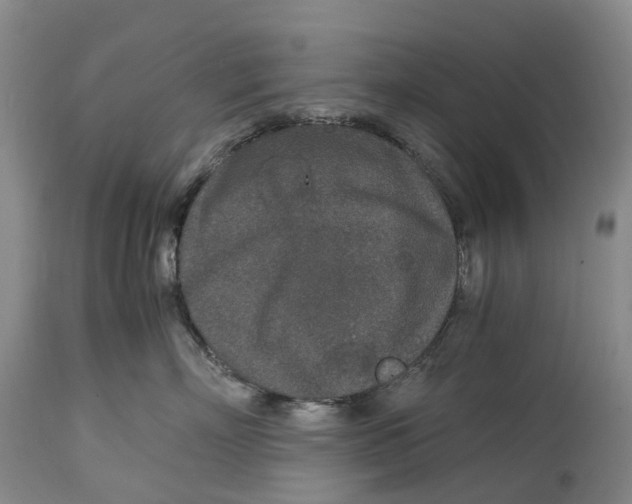 X0000115000718200911161537