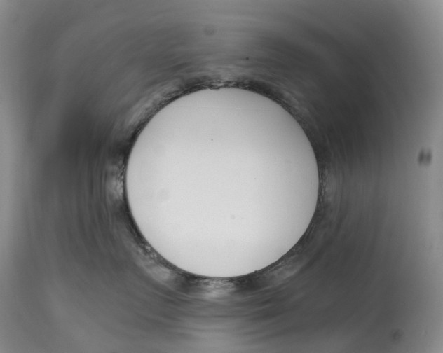 X0000115000719200911161537