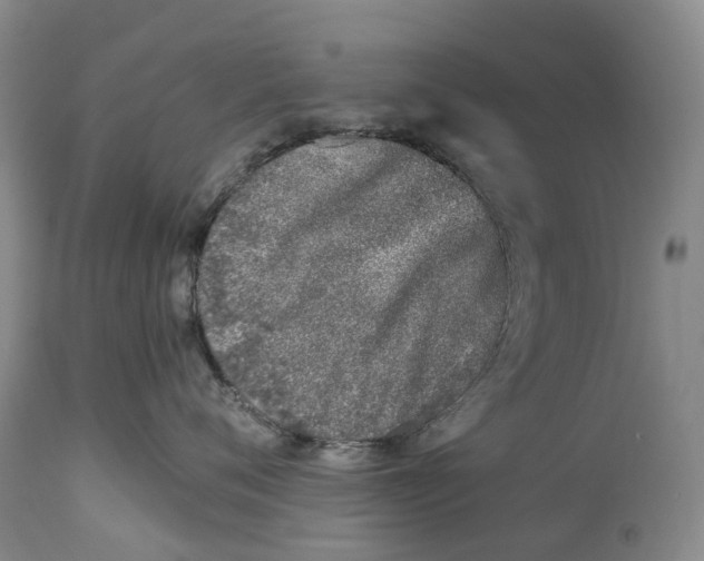 X0000115000720200911161537