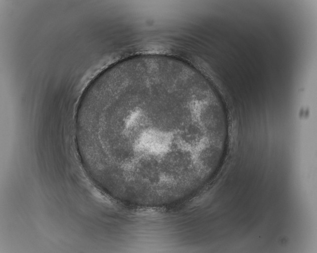 X0000115000721200911161536