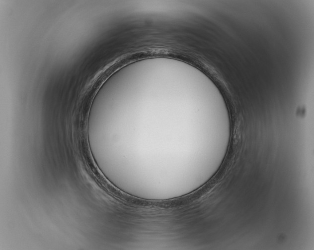 X0000115000722200911161536