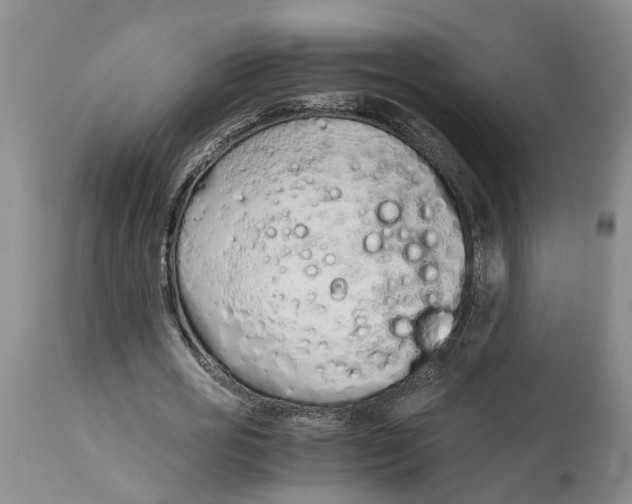 X0000115000725200911161536