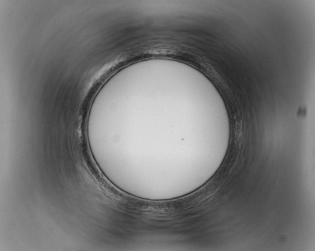 X0000115000727200911161536